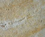 Leptolepides sprattiformis (BLAINVILLE 1818) - Bild © FossNet FossilienStore